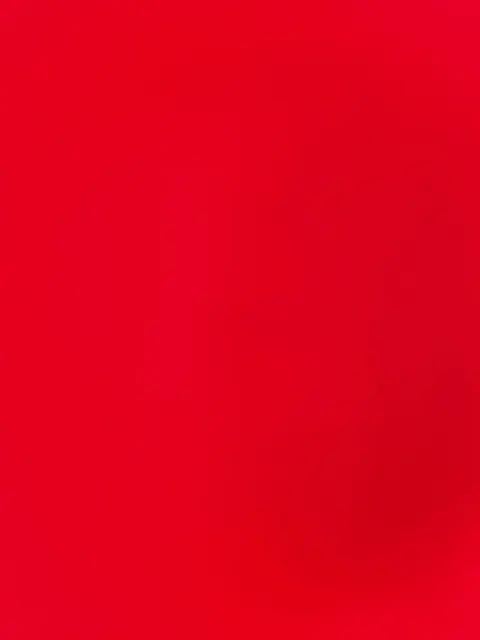 Borderlinas OnlyFans creator with original content