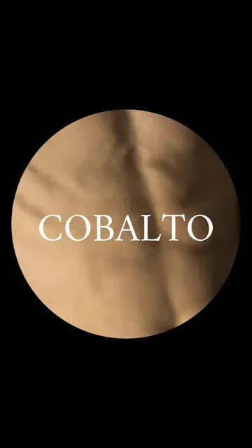 cobalto OnlyFans photographer with unique content