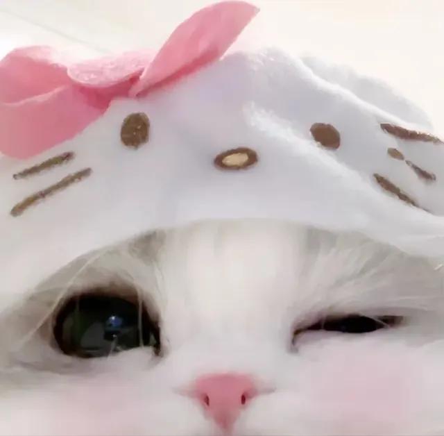 Kittycxxat OnlyFans cosplay creator