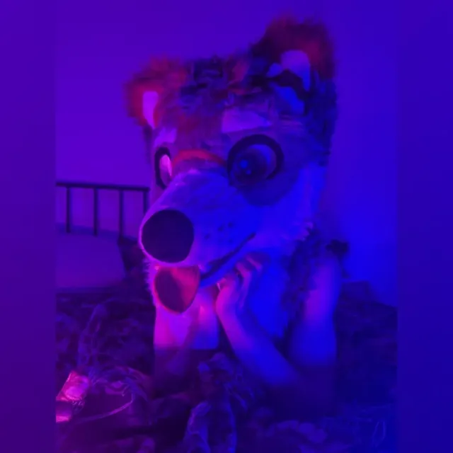 Milo OnlyFans femboy creator