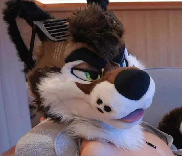 Palacewolf OnlyFans creator showcasing fursuit content.