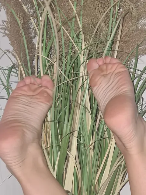 Soothingsoles26 OnlyFans creator with exclusive content