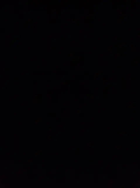 wuffelipuffeli OnlyFans HENTAI CATGIRL