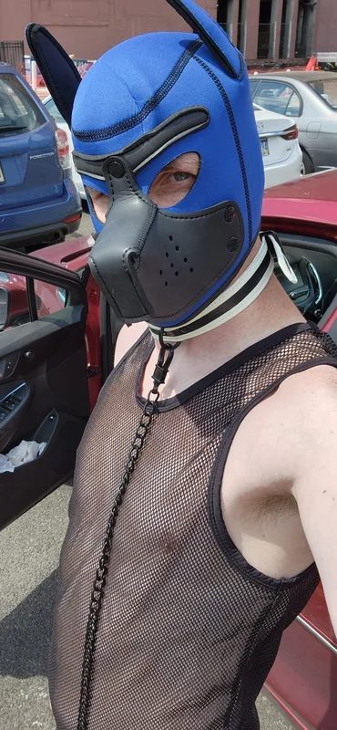 Mcpuptop OnlyFans creator with engaging content