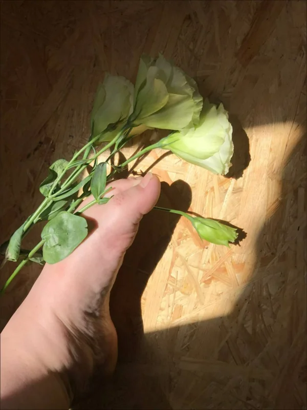 Lily on OnlyFans showcasing her amazing foot photography.