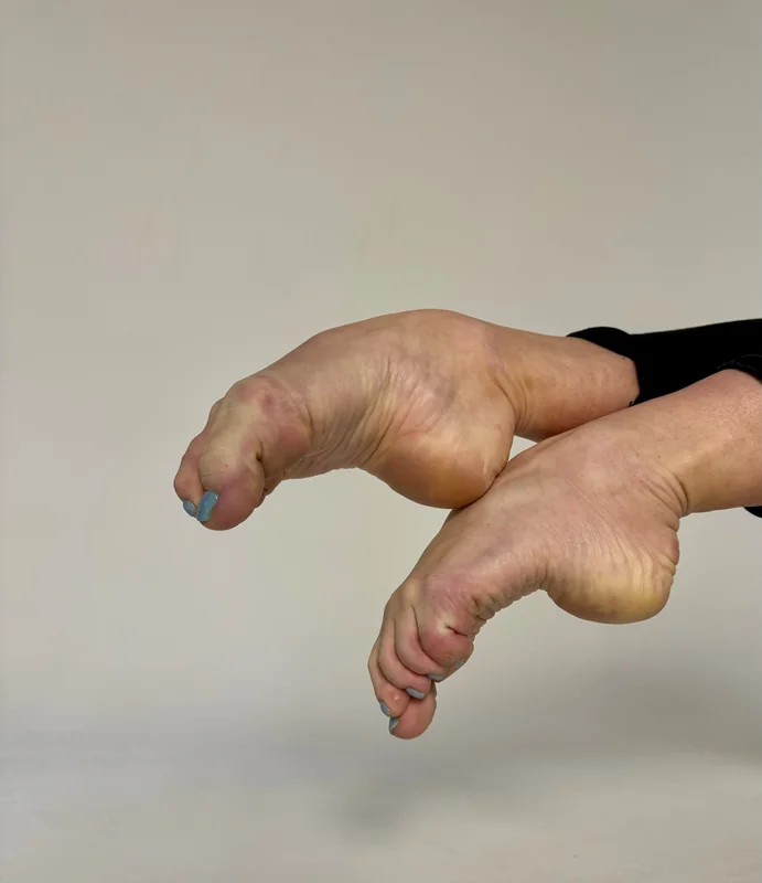Swan Feet Fans OnlyFans ballerina