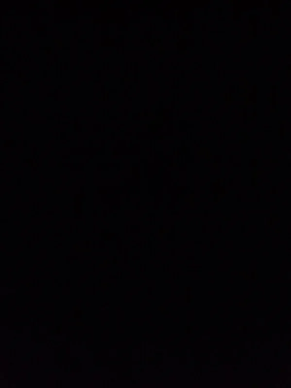 wuffelipuffeli OnlyFans HENTAI CATGIRL